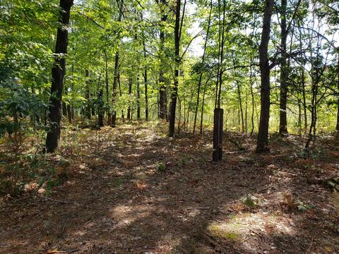 3501 Pinehurst Dr, Lake, MI 48632 photo 46