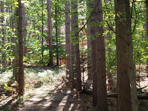 3501 Pinehurst Dr, Lake, MI 48632 photo 54