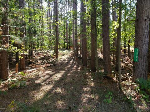 3501 Pinehurst Dr, Lake, MI 48632 photo 55