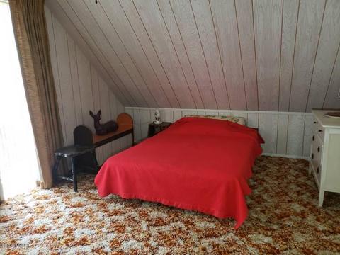 6181 E 2 Mile Rd, White Cloud, MI 49349 photo 14