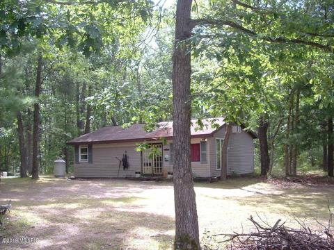 7960 N Mac Rd, Irons, MI 49644 photo 1