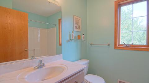 1022 E Snow Rd, Buchanan, MI 49107 photo 26