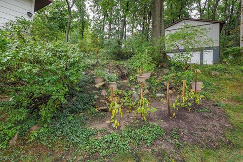 832 S Willlow Bch, Augusta, MI 49012 photo 33
