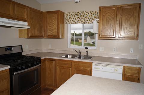 240 Pineview Dr, Belding, MI 48809 photo 11