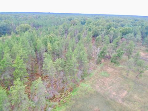 2794 W 76th St, Baldwin, MI 49304 photo 20