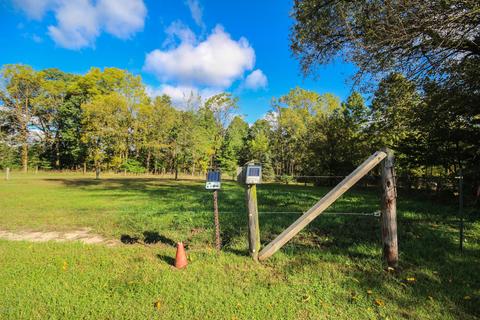 15141 Floating Bridge Rd, Three Rivers, MI 49093 photo 20