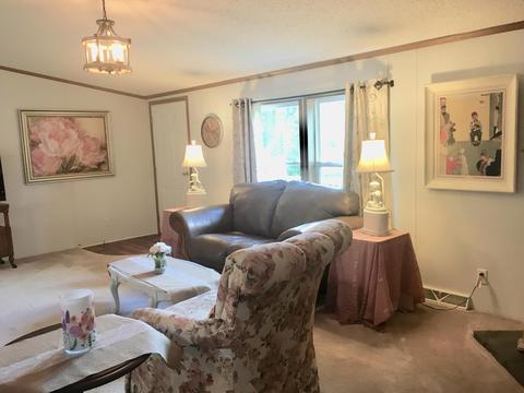 3720 E Shore Dr, Stanton, MI 48888 photo 13