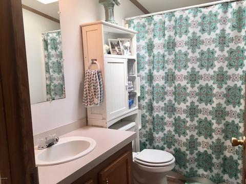 3720 E Shore Dr, Stanton, MI 48888 photo 24