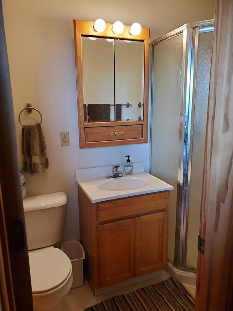 1791 E Harmon Rd, Camden, MI 49232 photo 14