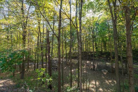 321 3rd St, Plainwell, MI 49080 photo 50