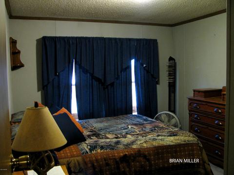 393 Plumb Rd SW, Stanton, MI 48888 photo 17