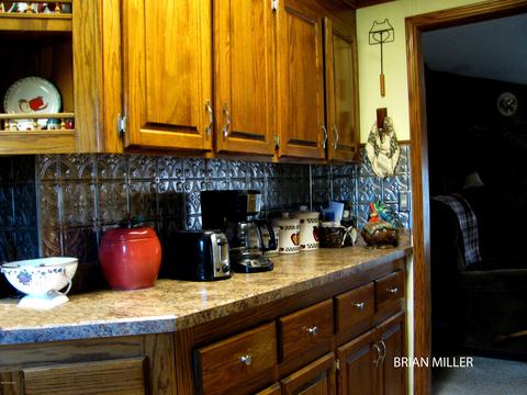 393 Plumb Rd SW, Stanton, MI 48888 photo 10