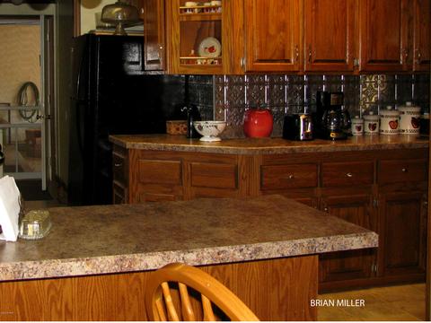 393 Plumb Rd SW, Stanton, MI 48888 photo 13