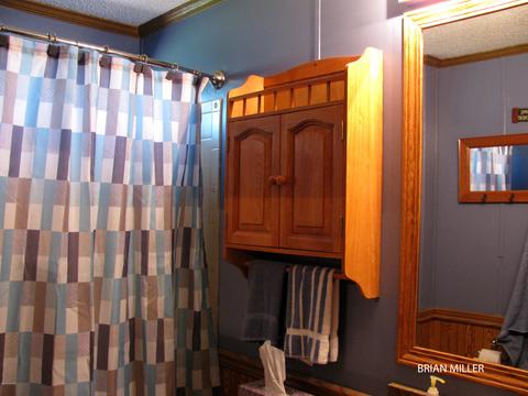 393 Plumb Rd SW, Stanton, MI 48888 photo 21