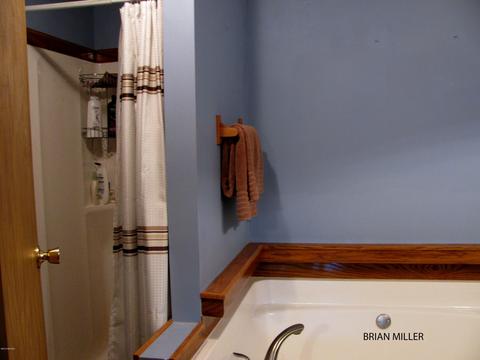 393 Plumb Rd SW, Stanton, MI 48888 photo 19