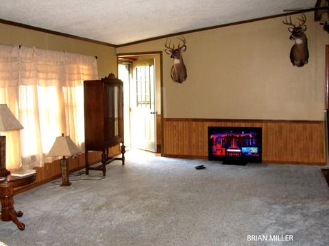 393 Plumb Rd SW, Stanton, MI 48888 photo 15