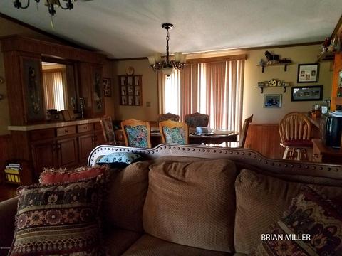 393 Plumb Rd SW, Stanton, MI 48888 photo 12