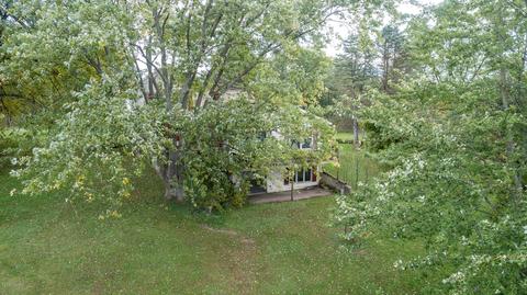 4655 26th St, Dorr, MI 49323 photo 46