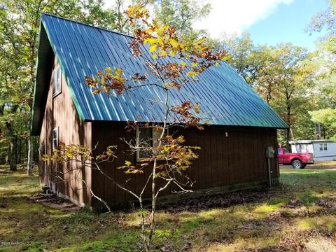 8166 W Spokane St, Baldwin, MI 49304 photo 4