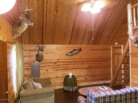 8166 W Spokane St, Baldwin, MI 49304 photo 6