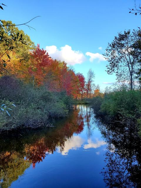 3610 W Baseline Rd, White Cloud, MI 49349 photo 26