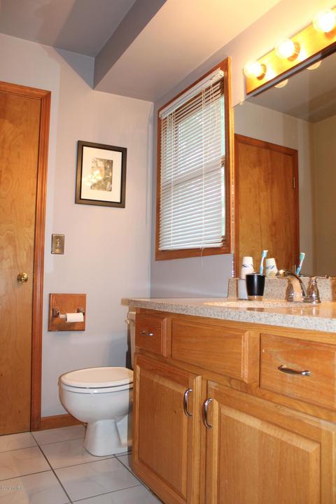 408 N Drive Dr E, Marshall, MI 49068 photo 12