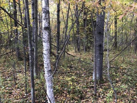2337 S Grout Rd, Gladwin, MI 48624 photo 51