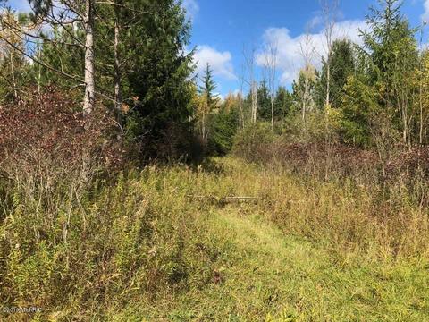 2337 S Grout Rd, Gladwin, MI 48624 photo 41
