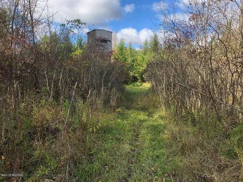 2337 S Grout Rd, Gladwin, MI 48624 photo 48