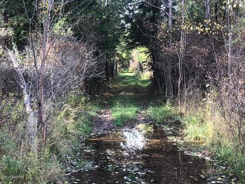 2337 S Grout Rd, Gladwin, MI 48624 photo 49