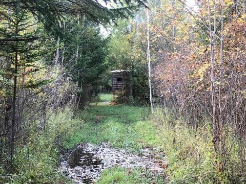 2337 S Grout Rd, Gladwin, MI 48624 photo 39