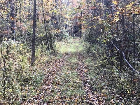 2337 S Grout Rd, Gladwin, MI 48624 photo 50