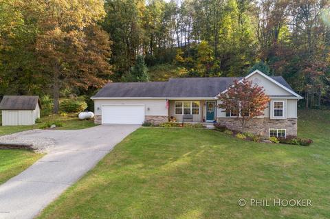 11433 W Riverside Dr, Lowell, MI 49331 photo 1