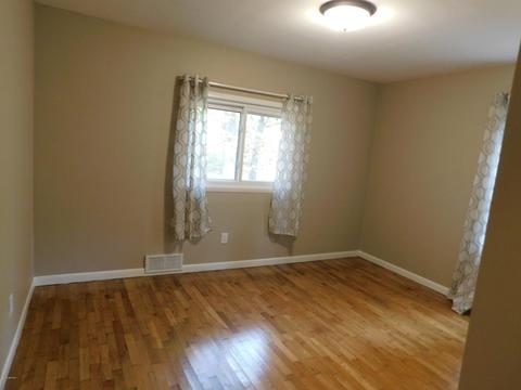 38 Pine Rd, Plainwell, MI 49080 photo 10