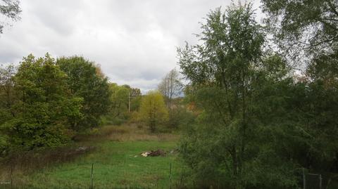 1160 Marsh Rd, Plainwell, MI 49080 photo 29