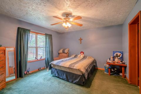 4853 E 96th St, Newaygo, MI 49337 photo 28