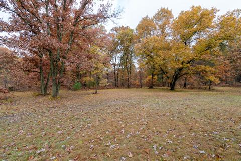 4853 E 96th St, Newaygo, MI 49337 photo 3