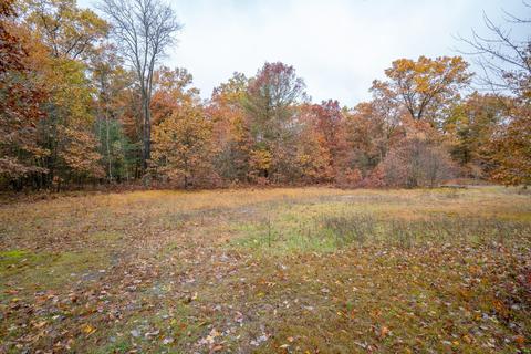 4853 E 96th St, Newaygo, MI 49337 photo 35