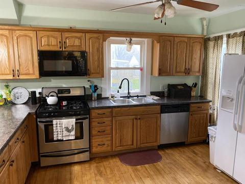 313 Everett St, Homer, MI 49245 photo 4
