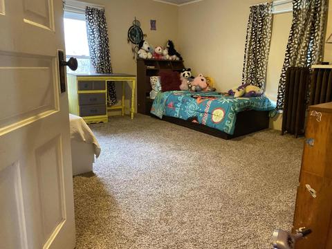 313 Everett St, Homer, MI 49245 photo 21