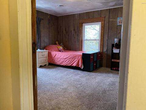 313 Everett St, Homer, MI 49245 photo 25