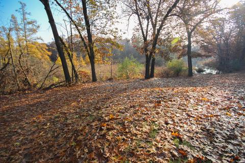 52173 Johnson Rd, Three Rivers, MI 49093 photo 6
