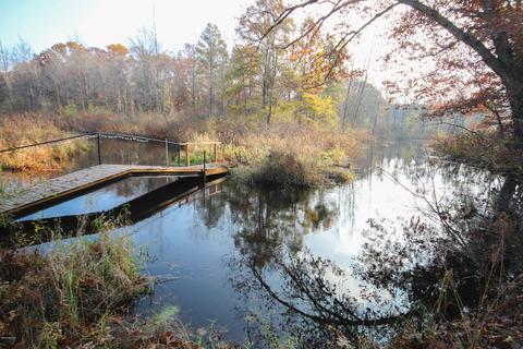 52173 Johnson Rd, Three Rivers, MI 49093 photo 5