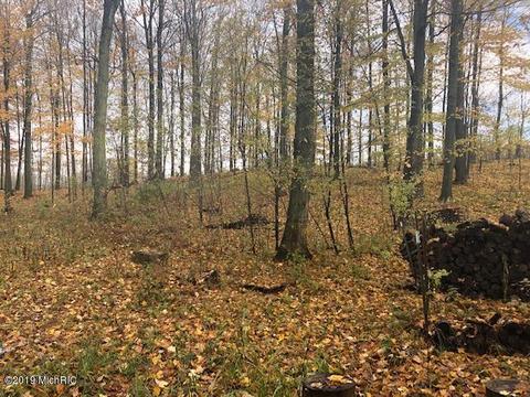 9550 E 64th St, Chase, MI 49623 photo 5