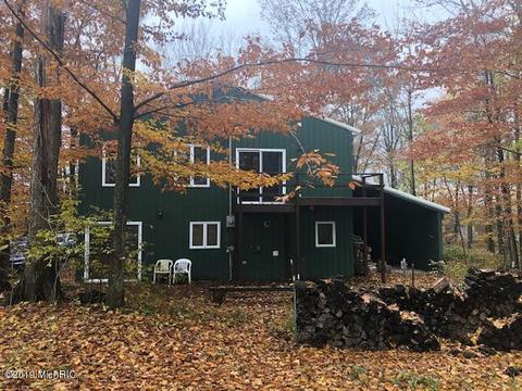 9550 E 64th St, Chase, MI 49623 photo 1