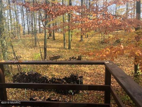 9550 E 64th St, Chase, MI 49623 photo 6