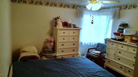 16575 Kellogg Ave, Three Rivers, MI 49093 photo 10