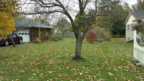 16575 Kellogg Ave, Three Rivers, MI 49093 photo 6