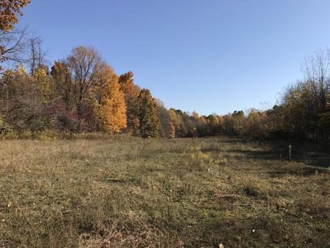 66147 Union Rd, Cassopolis, MI 49031 photo 11