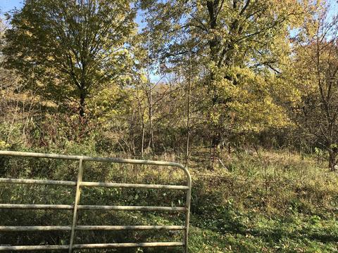 66147 Union Rd, Cassopolis, MI 49031 photo 8